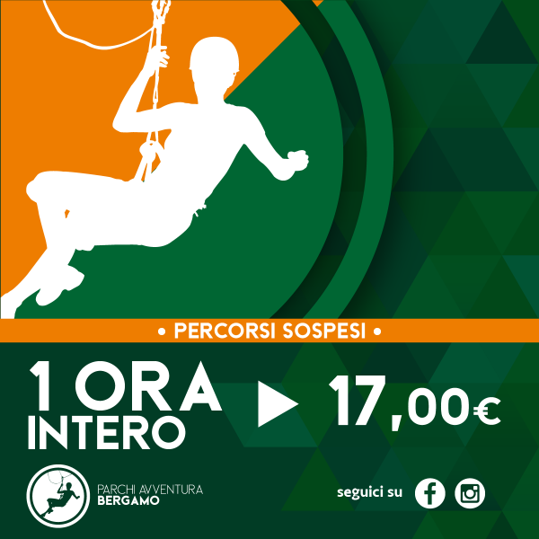 1 ora (intero)