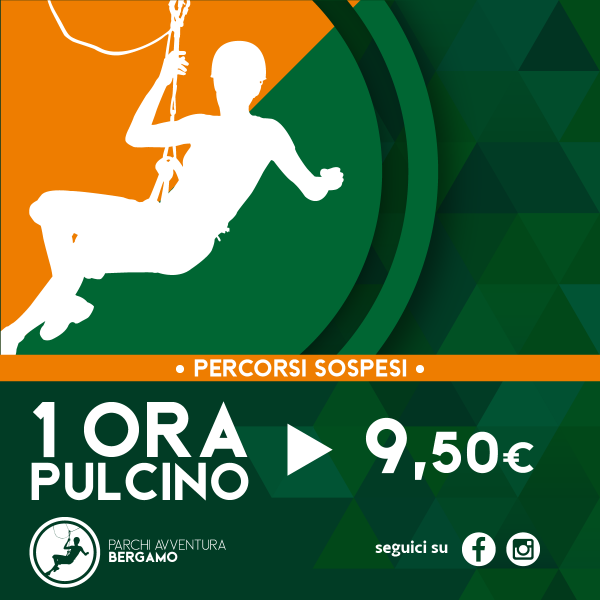 1 ora (pulcino)