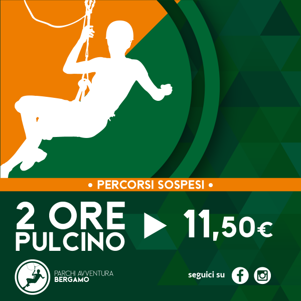 2 ore (pulcino)